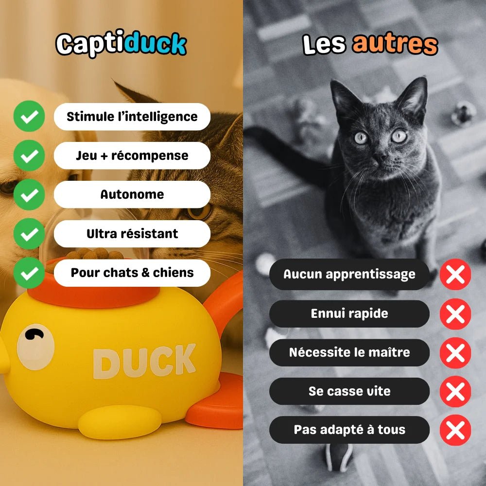 Avantages du jouet interactif CaptiDuck pour stimuler et occuper les chats et les chiens