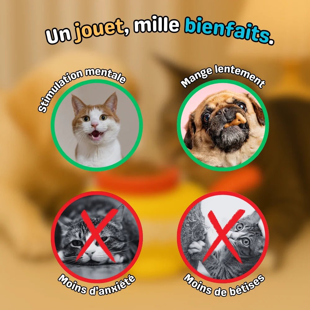 Bienfaits de CaptiDuck pour la stimulation mentale, l’alimentation lente et la réduction de l’ennui
