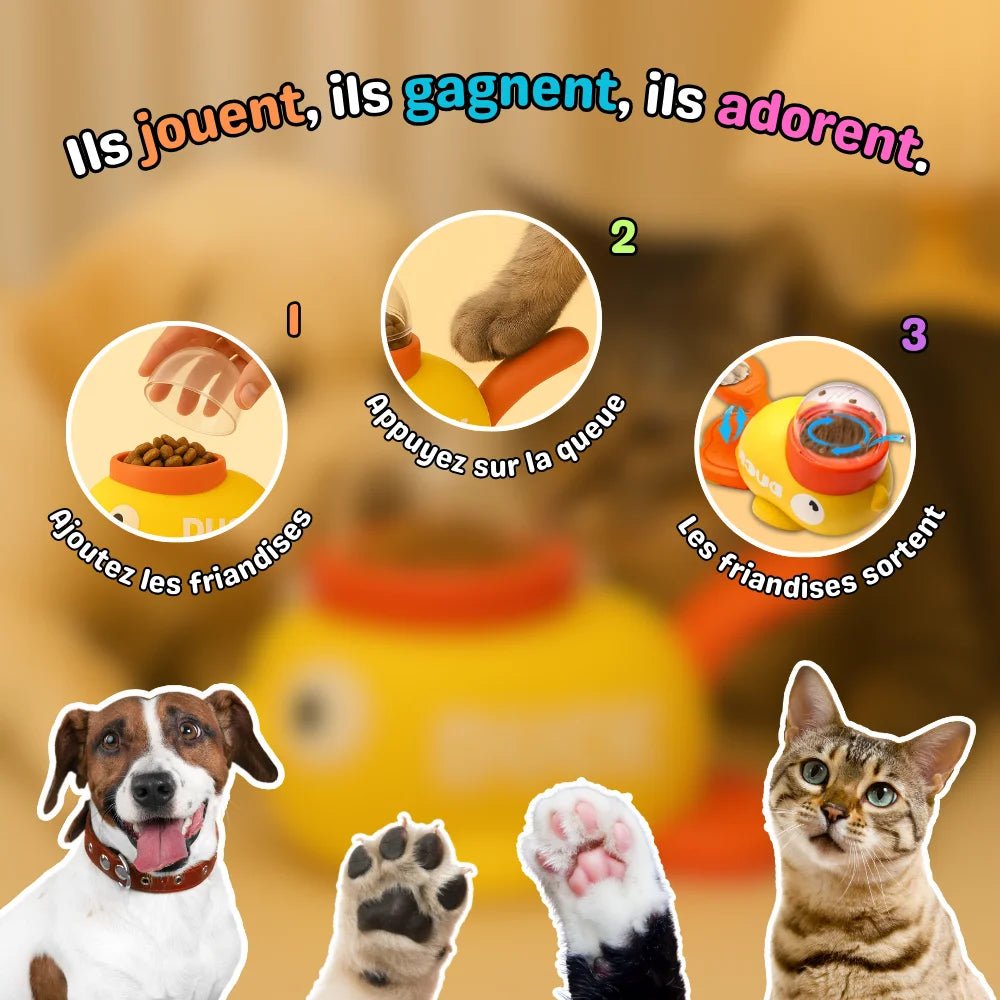 Mode d’emploi de CaptiDuck en trois étapes pour distribuer des friandises