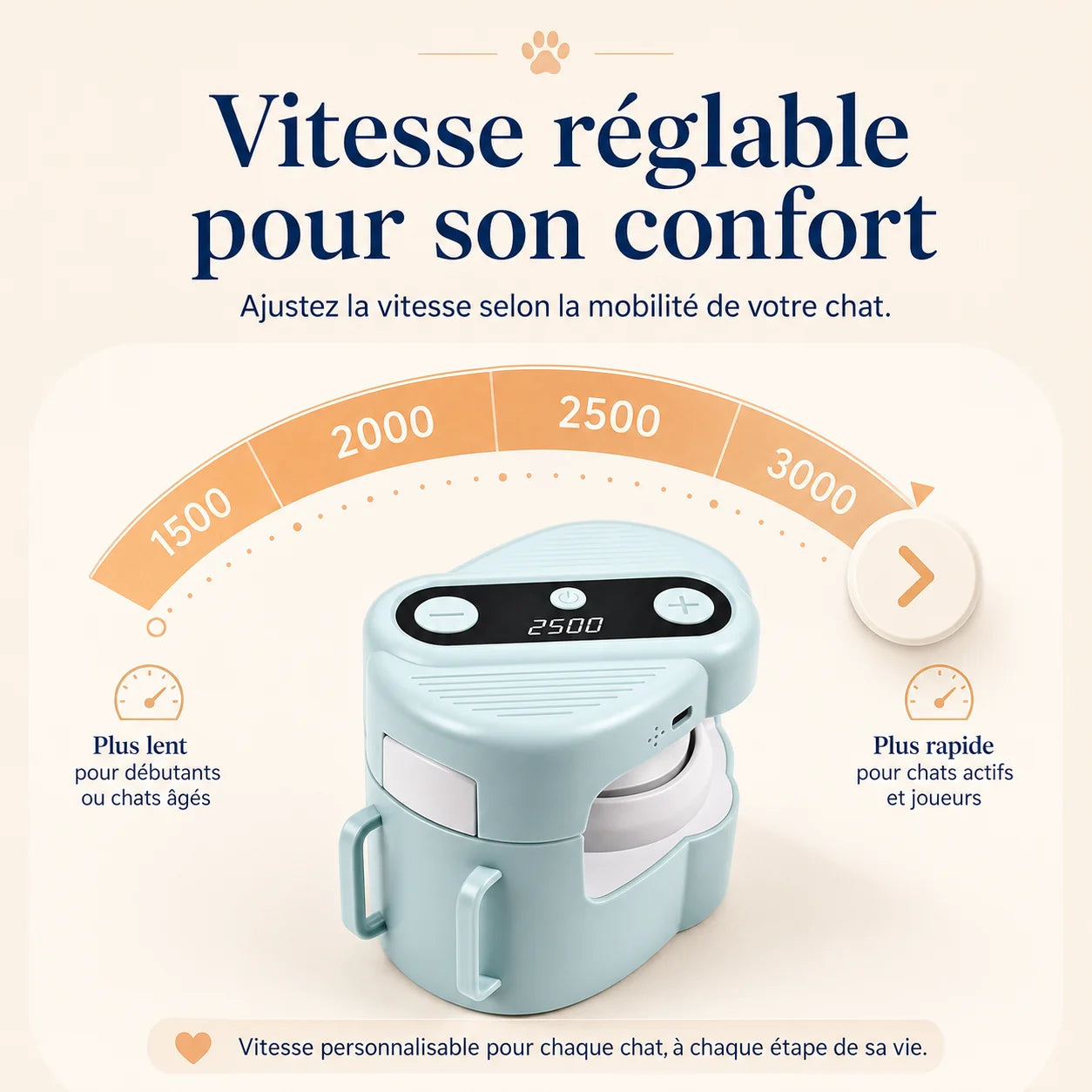 Jouet ChaseTrack avec quatre vitesses réglables pour adapter le parcours à l’énergie du chat