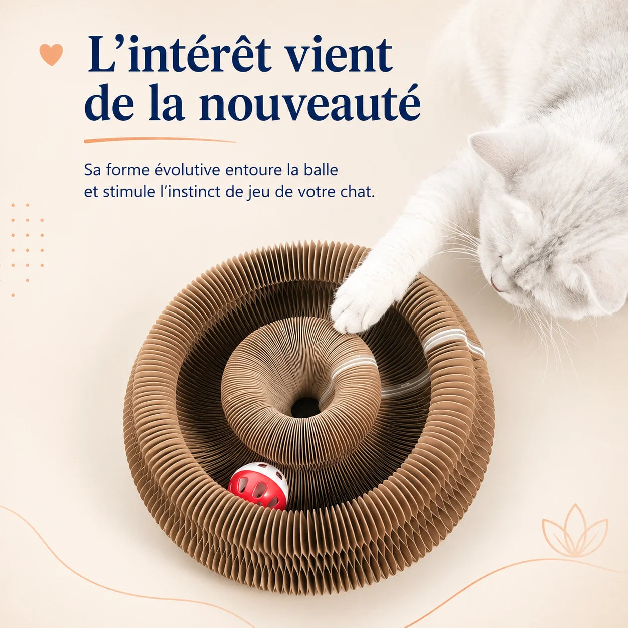 Chat essayant d’attraper la balle placée dans le griffoir circulaire GriffCat