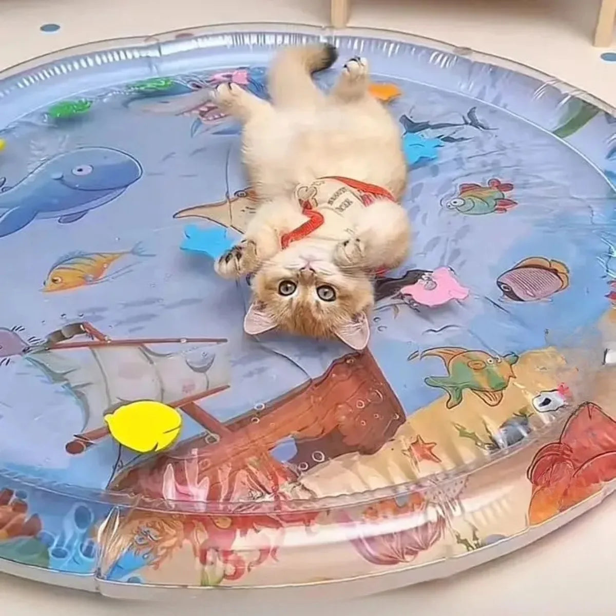 Chaton jouant sur un tapis aquatique rafraîchissant