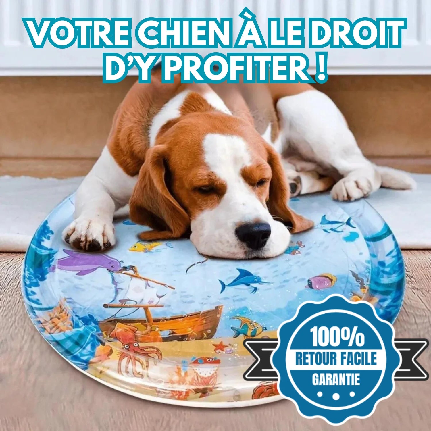Petit chien allongé sur un tapis rafraîchissant aquatique