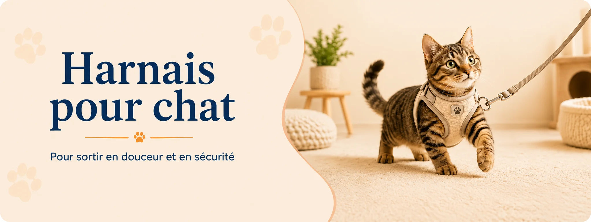Chat portant un harnais confortable avec une laisse pour sortir en sécurité