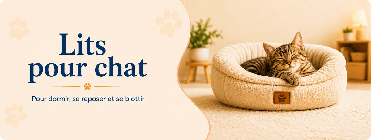 Chat endormi dans un lit rond, doux et moelleux
