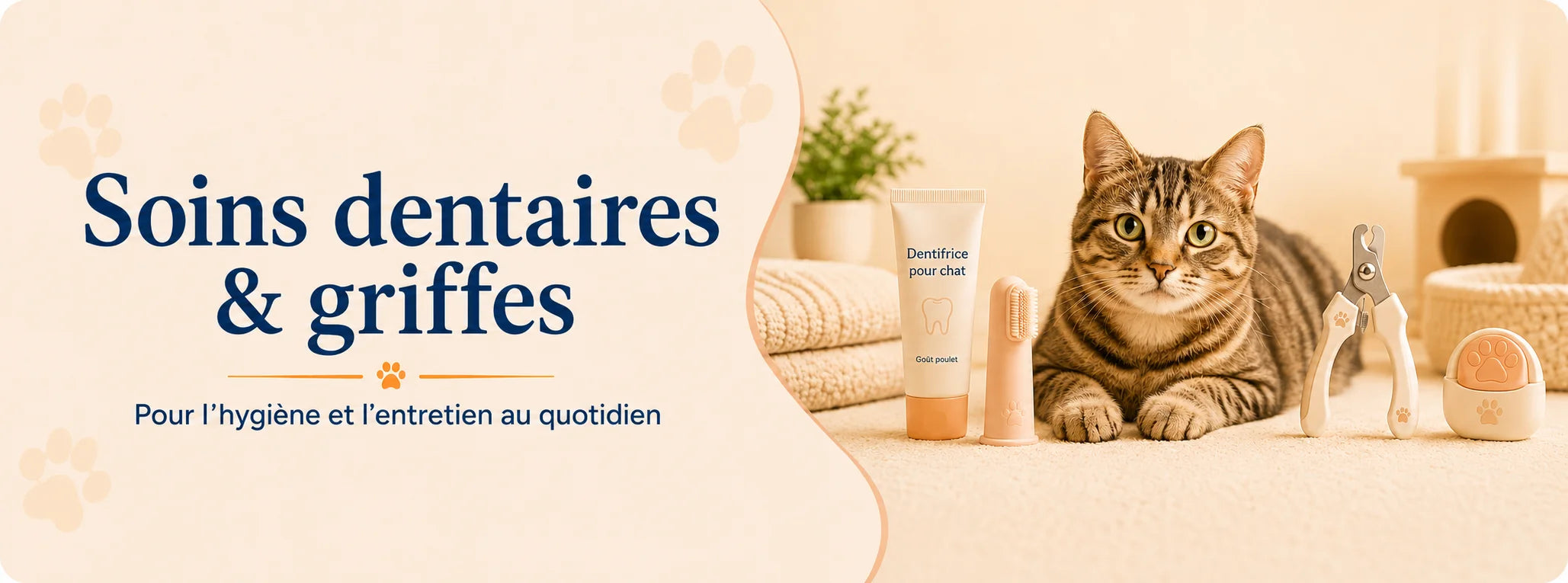 Chat entouré d’un dentifrice, d’une brosse à dents, d’un coupe-griffes et d’une lime pour griffes