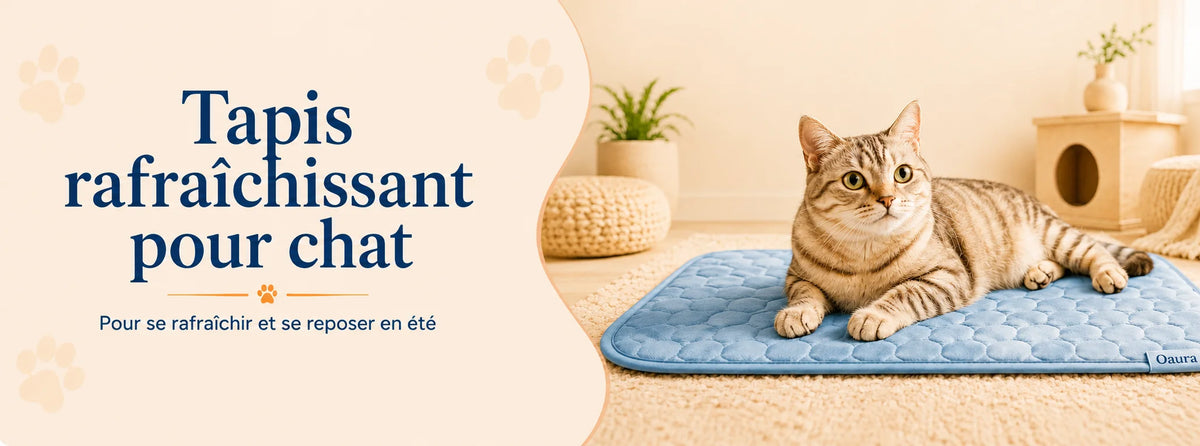 Chat allongé sur un tapis rafraîchissant bleu pour se reposer pendant l’été