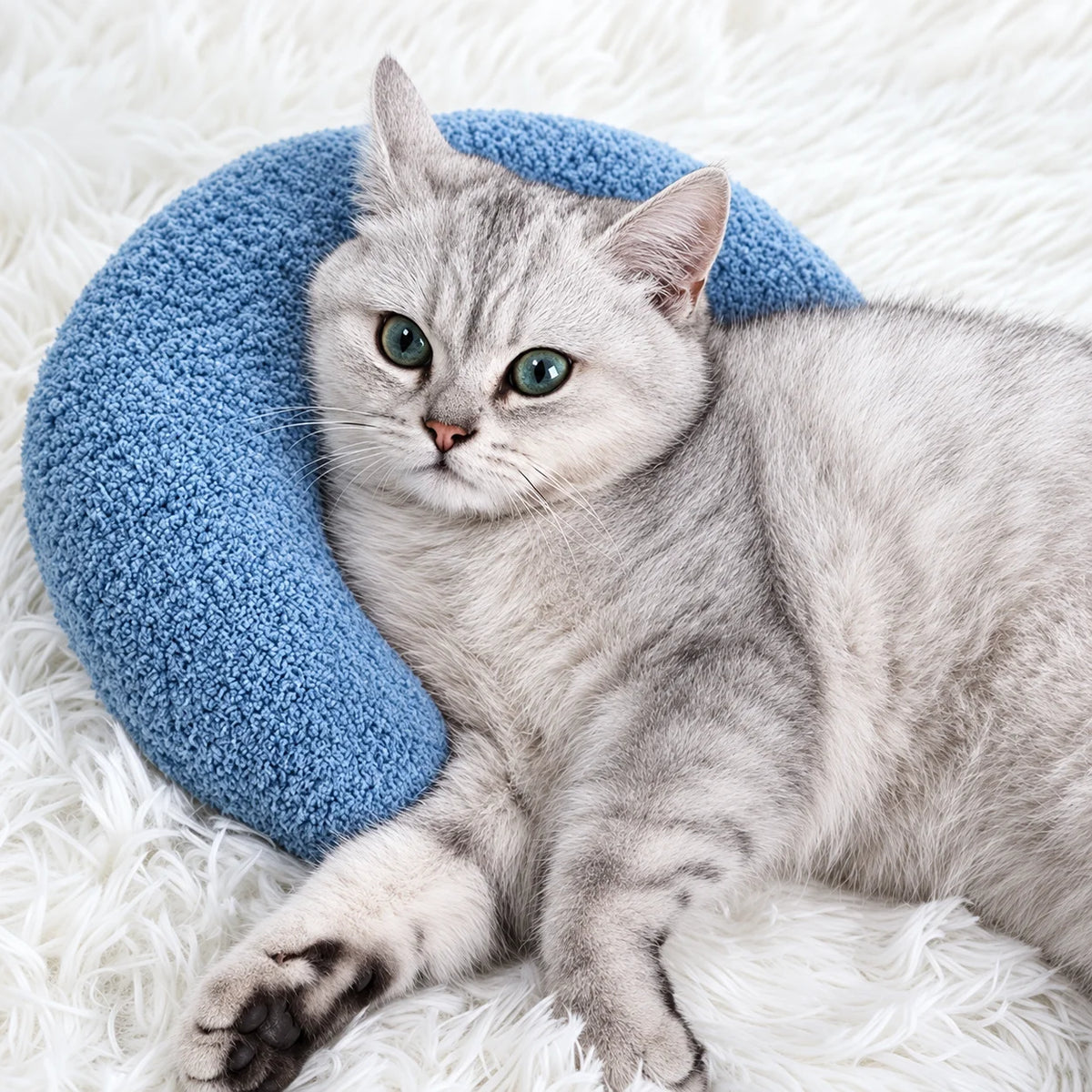 Chat allongé avec le coussin CozyU bleu utilisé comme soutien moelleux – Oaura