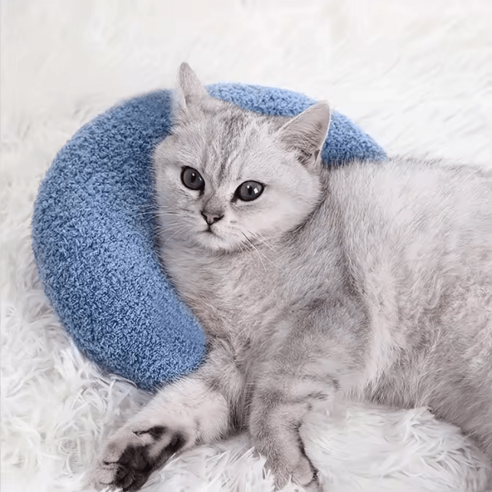 Coussin Cozyu bleu offert avec PawTent, utilisé comme appui-tête confortable pour chat