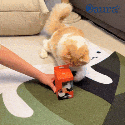 Démonstration PiouCat : oiseau interactif pour chat qui bat des ailes et vibre au contact de la patte du chat