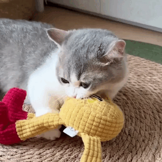 Chat jouant avec le doudou anti-stress et dentaire CrinkleCat
