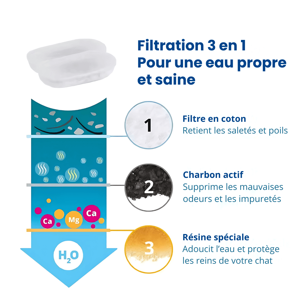 Système de filtration HydraChat pour une eau propre et saine dans la fontaine à eau chat