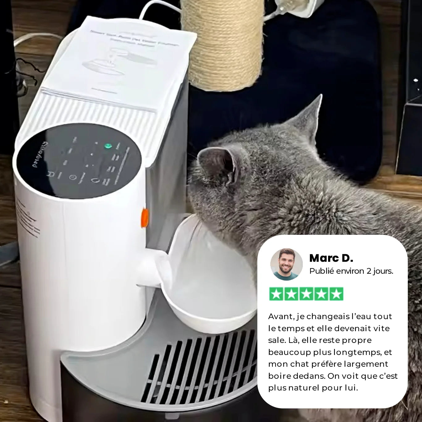 Chat buvant dans la fontaine Aquaflow avec avis client sur une eau plus propre