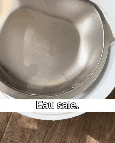 Démonstration d’un filtre sale de fontaine classique avec impuretés accumulées