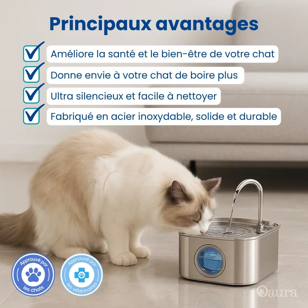 Fontaine à eau chat HydraChat en inox avec avantages santé, silence et nettoyage facile