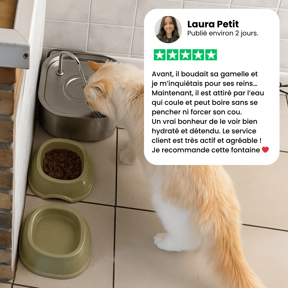 Avis client Laura sur la fontaine à eau chat HydraChat attirante pour les chats