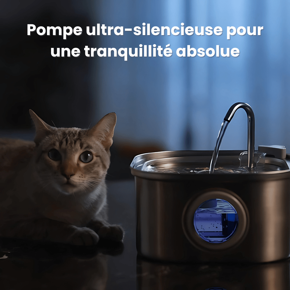 Fontaine à eau chat HydraChat avec pompe ultra-silencieuse pour une tranquillité absolue