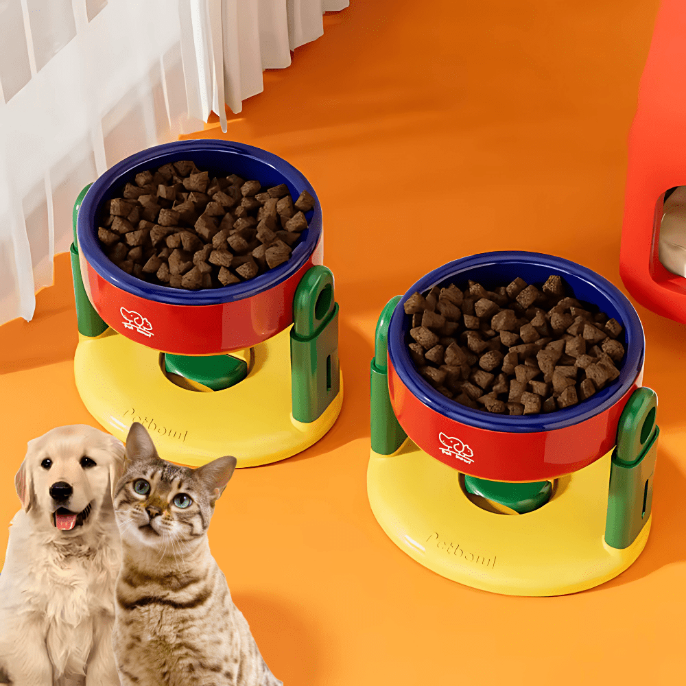 Gamelle ErgoBowl pour chat et chien avec deux modèles remplis de croquettes