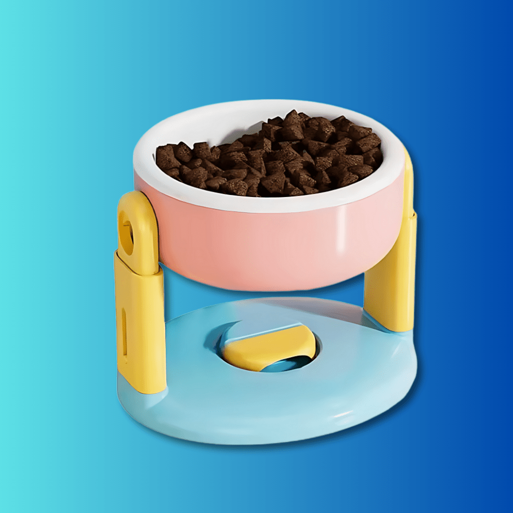 Gamelle pour chat ErgoBowl rose et bleue surélevée avec croquettes