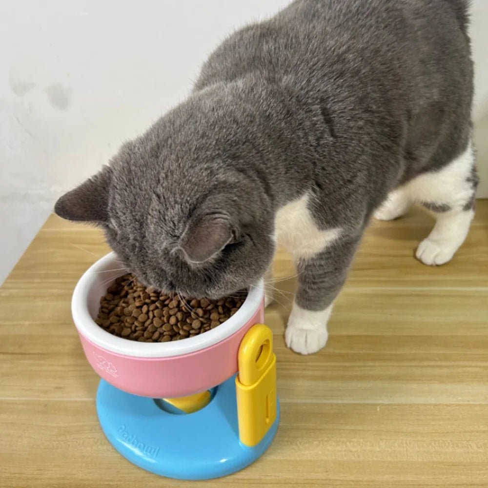 Chat mangeant dans la gamelle surélevée ErgoBowl rose et bleue