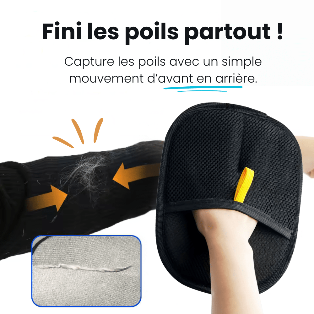 Gant anti-poils PawsGlove qui capture les poils sur vêtements en un passage