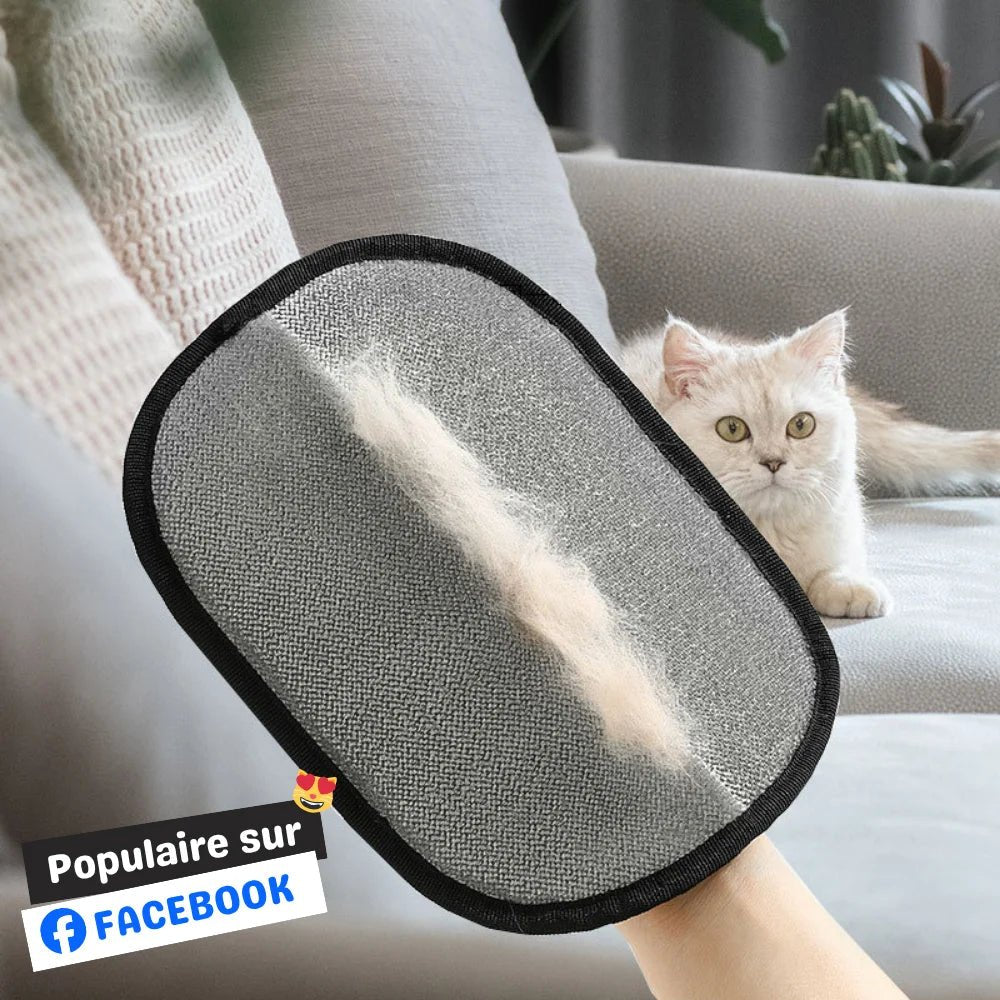 PawsGlove - Gant Anti-Poils pour Chat & Chien - oaura