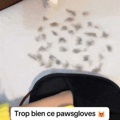 Gant anti-poils PawsGlove utilisé pour retirer les poils de chat sur canapé et vêtements