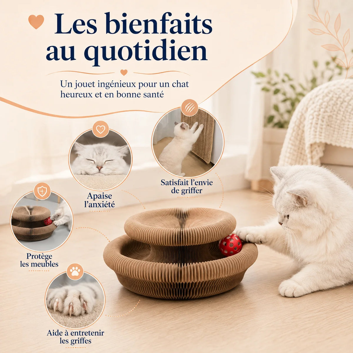 GriffCat design accordéon pliable - structure qui change de forme sous les pattes du chat