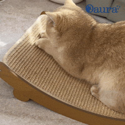 GriffoNest griffoir en sisal et lit à gratter confortable pour chat