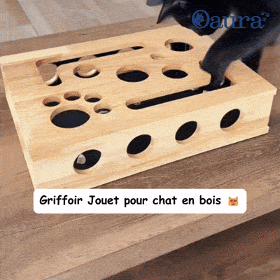 Chat manipulant les balles à clochette du griffoir puzzle Griff'Puzzle en bois - stimulation cognitive