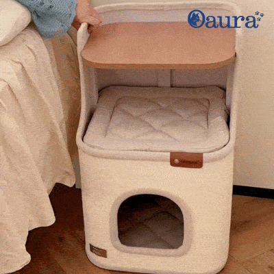 HavenCat griffoir design chat - démonstration niche et perchoir
