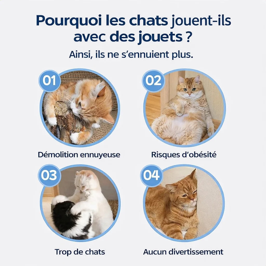 Jouet interactif ArenaCat pour réduire l’ennui et stimuler l’activité du chat