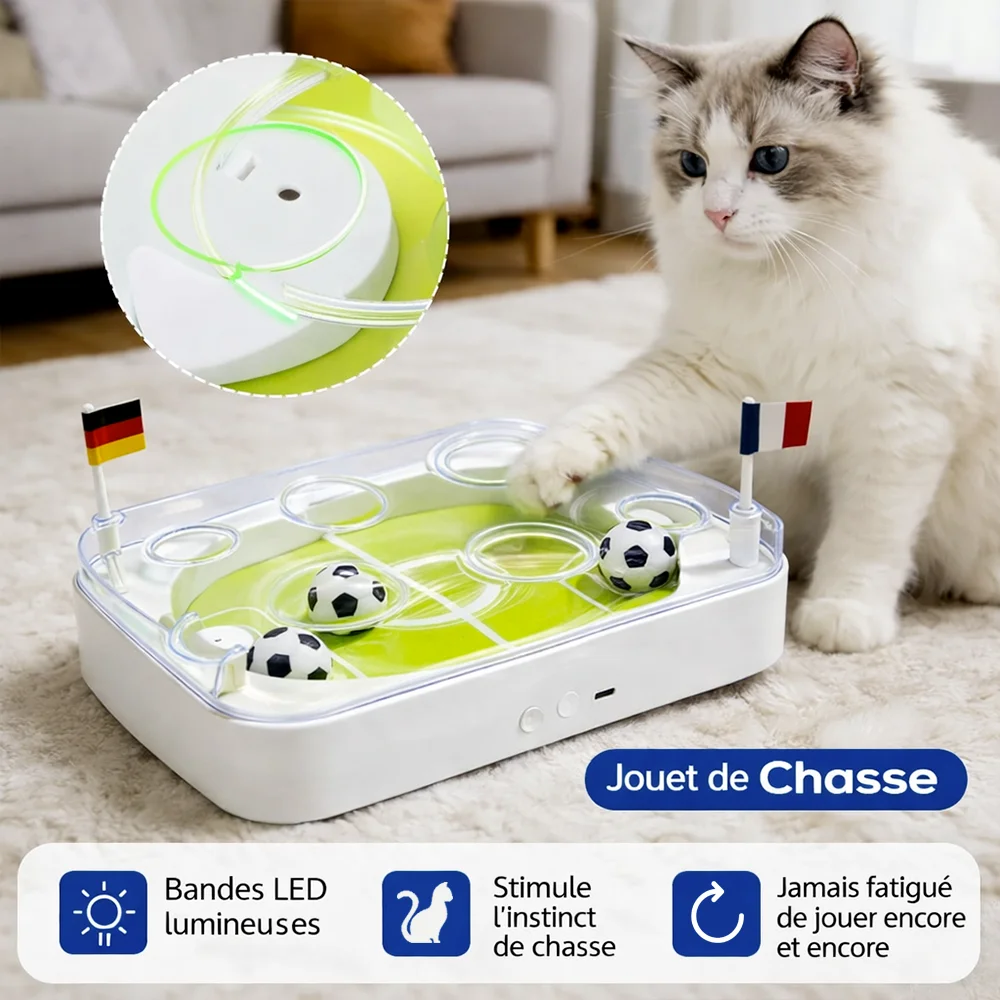 Jouet interactif pour chat ArenaCat avec bandes LED et stimulation de l’instinct de chasse