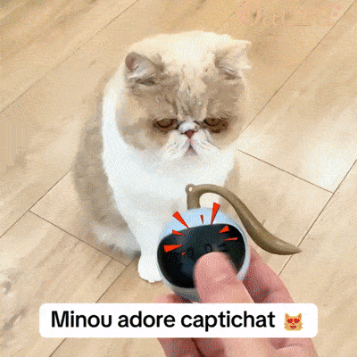Jouet interactif pour chat CaptiChat avec balle automatique qui bouge sous la pochette