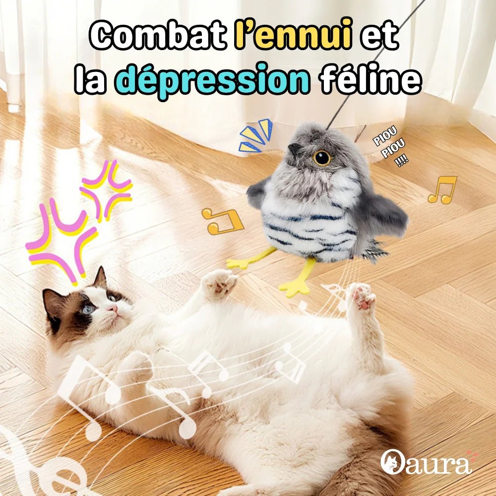 Chat d'intérieur jouant avec PiouCat jouet oiseau interactif - stimulation contre l'ennui et l'inactivité