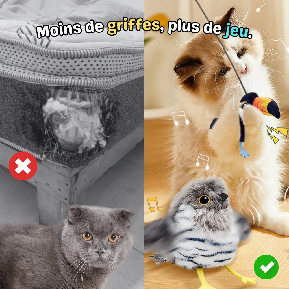 Chat stimulé par PiouCat jouet oiseau interactif - réduit les griffures sur les meubles par le jeu