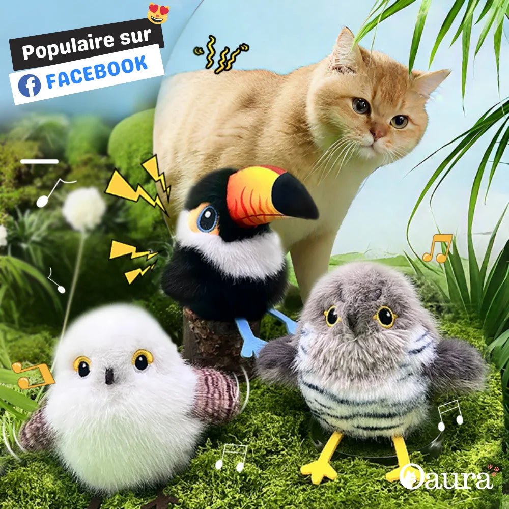 Les 3 variantes de jouets oiseaux interactifs PiouCat pour chat : Toucan, Coucou et Mésange côte à côte
