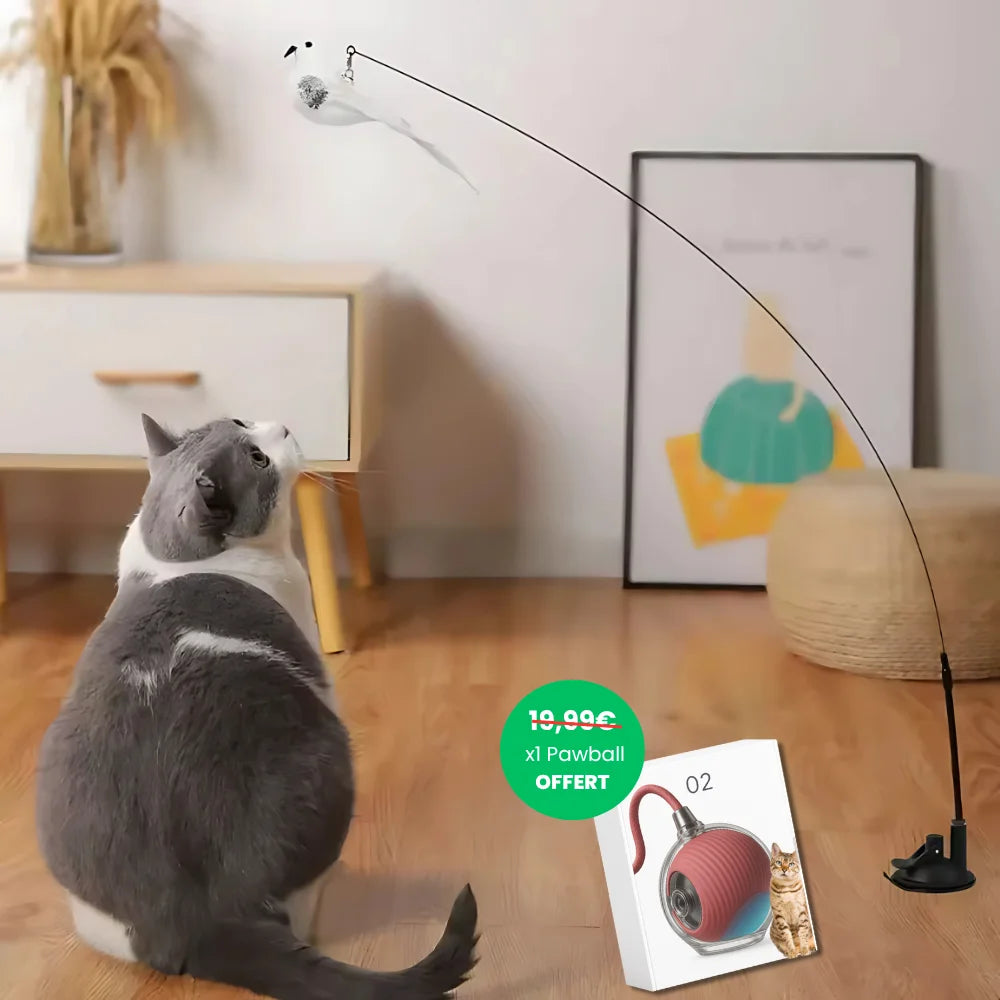 Bird Toy - BirdyFun