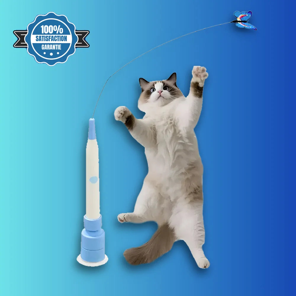 Chat jouant avec le papillon interactif automatique pour chat FlutterPlay