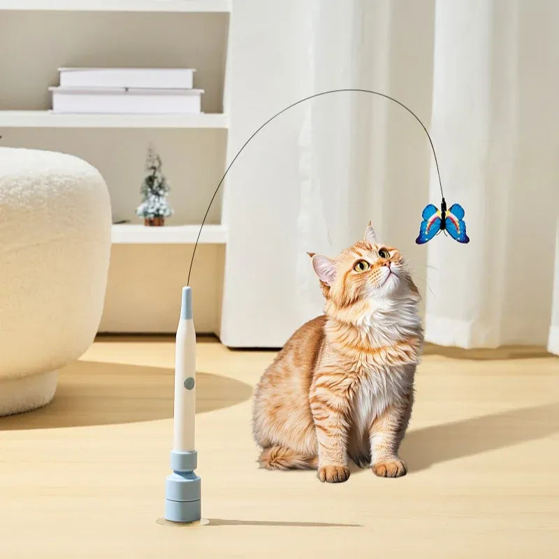 Chat observant le papillon interactif automatique FlutterPlay dans un salon