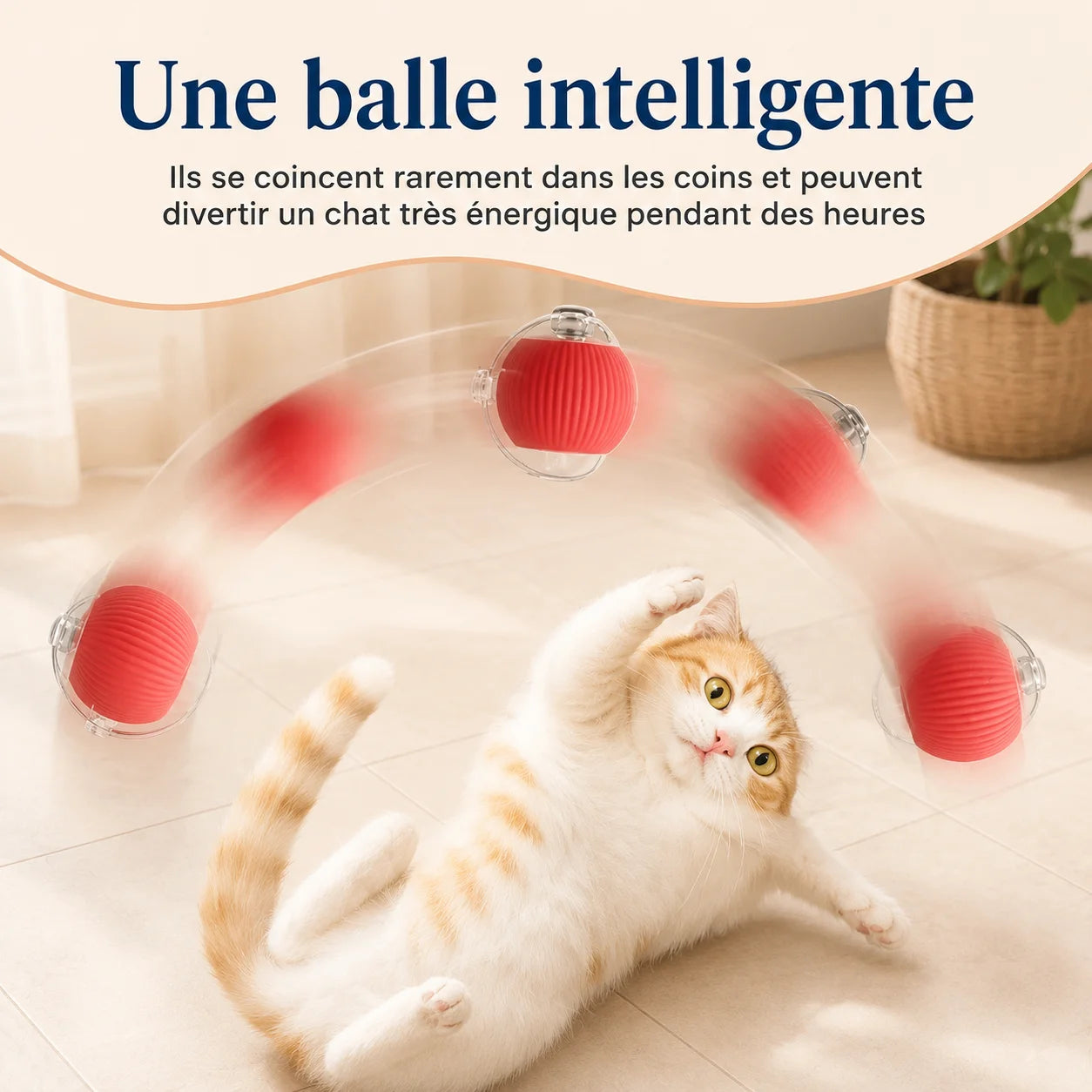 Balle interactive automatique PawBall roulant autour d’un chat