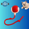 Chat jouant avec la balle interactive automatique PawBall rechargeable USB sur parquet