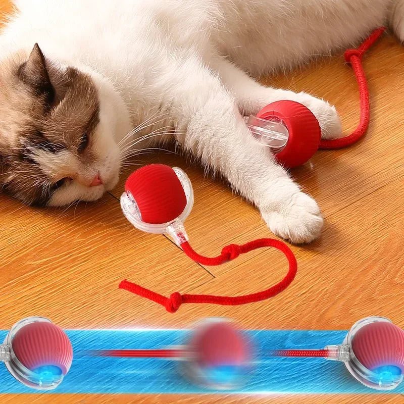 Chat jouant avec la balle interactive rechargeable PawBall pour stimulation et exercice