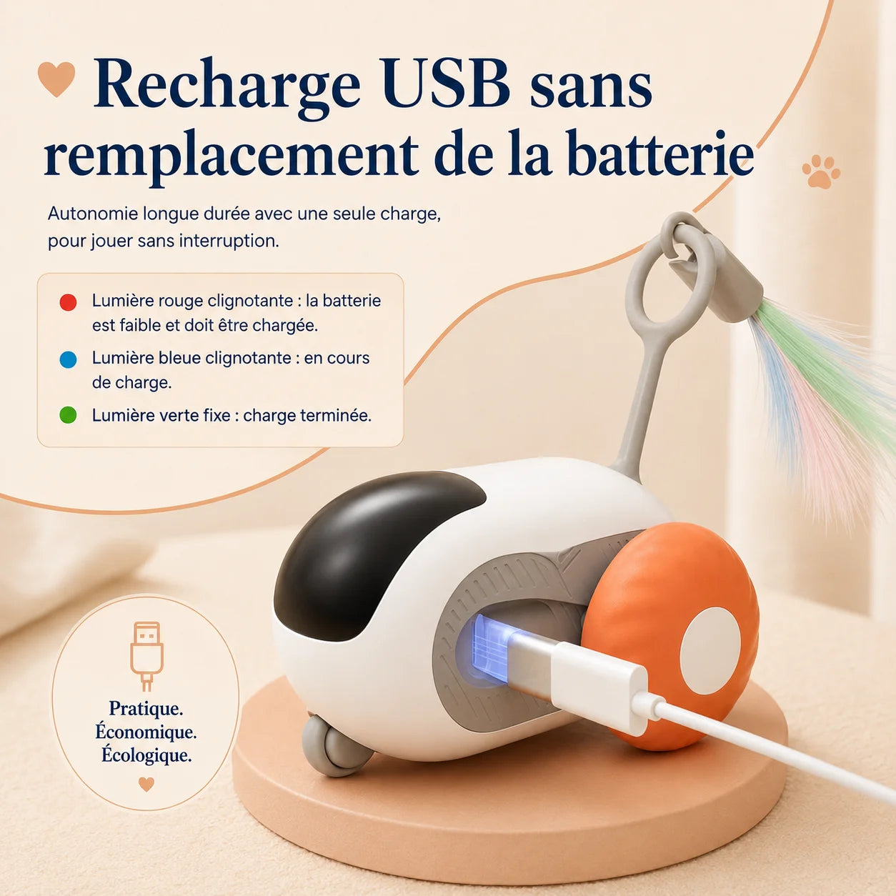 PawsCars batterie 300 mAh rechargeable USB Type-C - longue autonomie, câble inclus