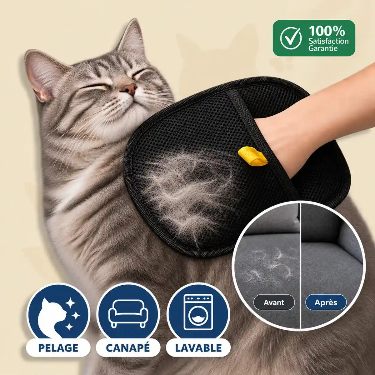 Gant attrape-poils PawsGlove avec chat gris, poils capturés sur le gant et résultat avant après sur canapé