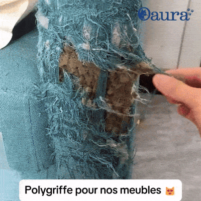 Démonstration de la découpe et de la pose du griffoir autocollant PolyGriffe sur un meuble