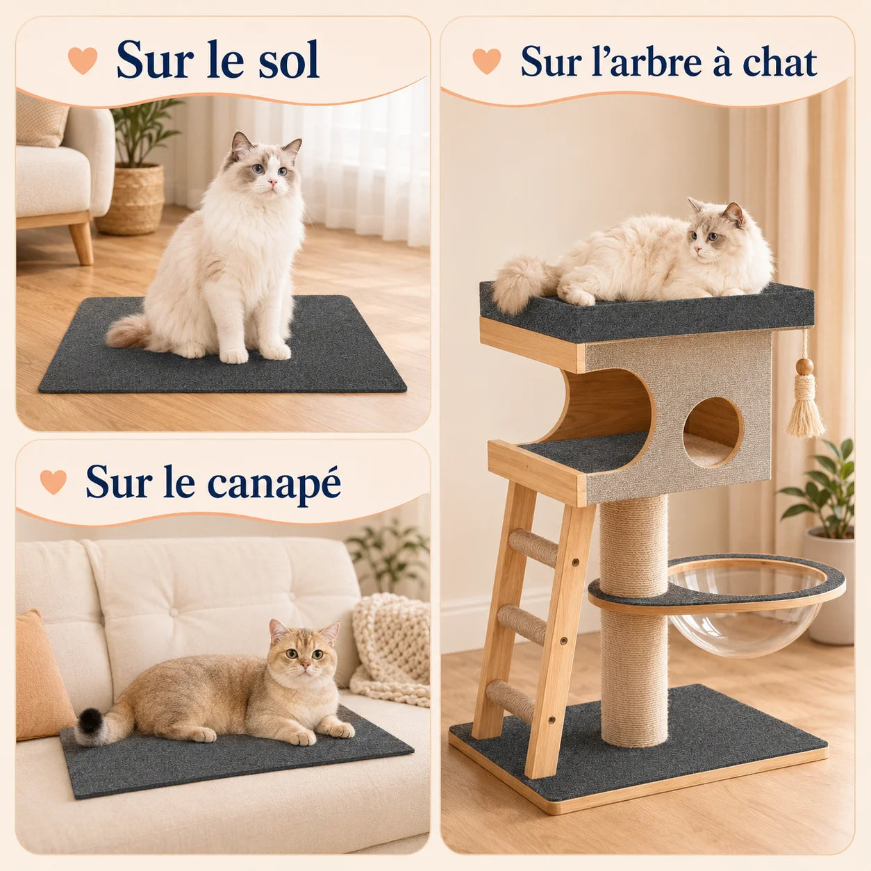 Griffoir PolyGriffe utilisé au sol, sur un canapé et sur un arbre à chat