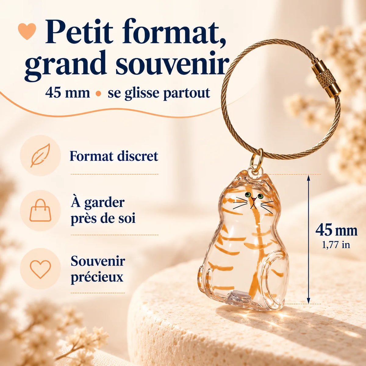 Porte-clés commémoratif PurrKey petit format 45 mm avec boîtier transparent pour souvenir de chat