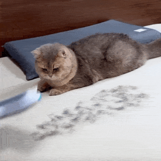 Ramasse poil chat FurSweep 3-en-1 pour canapé, tapis, vêtements et surfaces textiles