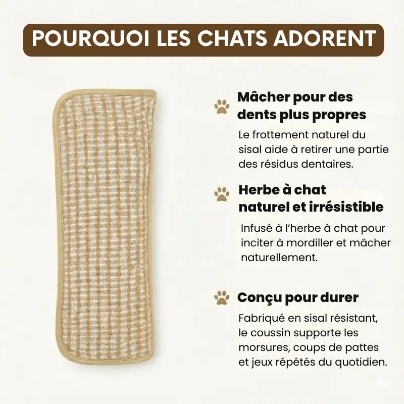 Bienfaits de SisalDent : mastication naturelle, entretien dentaire et effet anti-stress du catnip pour chat